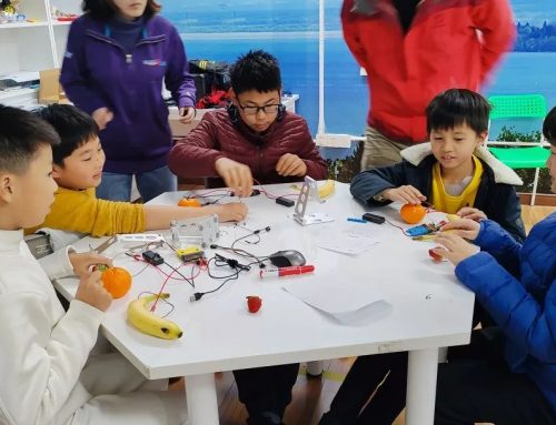 水果也能当乐器?!OWALA课堂里的“另类”演奏会!