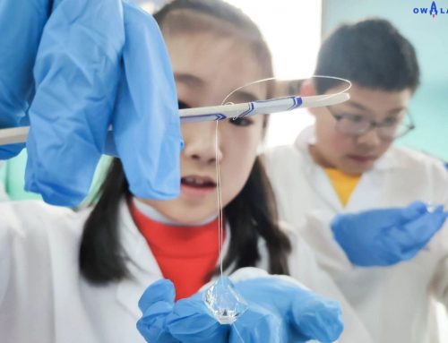 为了培养一颗晶体,你知道小科学家有多努力吗?!